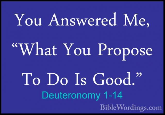Deuteronomy 1-14 - You Answered Me, "What You Propose To Do Is GoYou Answered Me, "What You Propose To Do Is Good." 