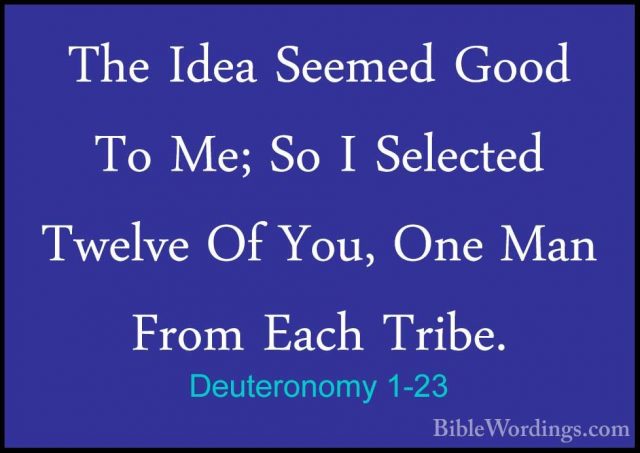 Deuteronomy 1-23 - The Idea Seemed Good To Me; So I Selected TwelThe Idea Seemed Good To Me; So I Selected Twelve Of You, One Man From Each Tribe. 