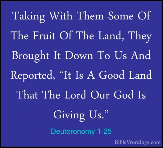 Deuteronomy 1-25 - Taking With Them Some Of The Fruit Of The LandTaking With Them Some Of The Fruit Of The Land, They Brought It Down To Us And Reported, "It Is A Good Land That The Lord Our God Is Giving Us." 