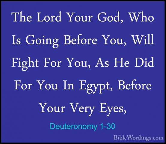 Deuteronomy 1-30 - The Lord Your God, Who Is Going Before You, WiThe Lord Your God, Who Is Going Before You, Will Fight For You, As He Did For You In Egypt, Before Your Very Eyes, 