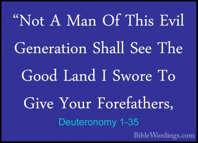 Deuteronomy 1-35 - "Not A Man Of This Evil Generation Shall See T"Not A Man Of This Evil Generation Shall See The Good Land I Swore To Give Your Forefathers, 