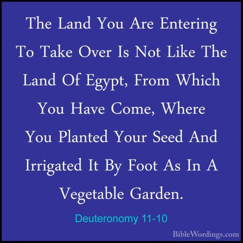 Deuteronomy 11-10 - The Land You Are Entering To Take Over Is NotThe Land You Are Entering To Take Over Is Not Like The Land Of Egypt, From Which You Have Come, Where You Planted Your Seed And Irrigated It By Foot As In A Vegetable Garden. 