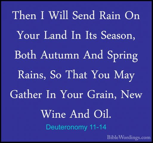 Deuteronomy 11-14 - Then I Will Send Rain On Your Land In Its SeaThen I Will Send Rain On Your Land In Its Season, Both Autumn And Spring Rains, So That You May Gather In Your Grain, New Wine And Oil. 