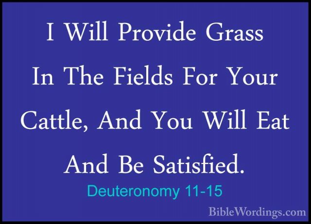 Deuteronomy 11-15 - I Will Provide Grass In The Fields For Your CI Will Provide Grass In The Fields For Your Cattle, And You Will Eat And Be Satisfied. 