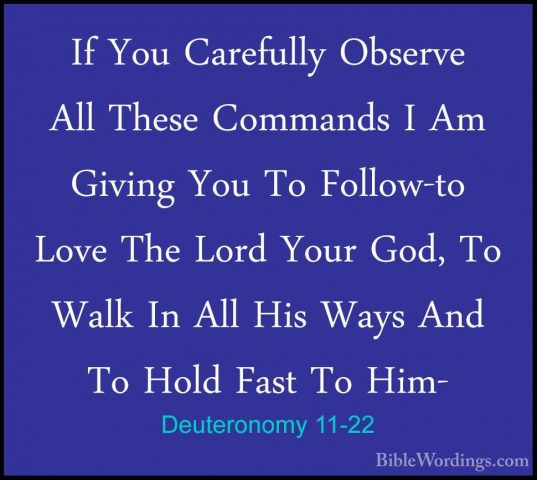 Deuteronomy 11-22 - If You Carefully Observe All These Commands IIf You Carefully Observe All These Commands I Am Giving You To Follow-to Love The Lord Your God, To Walk In All His Ways And To Hold Fast To Him- 