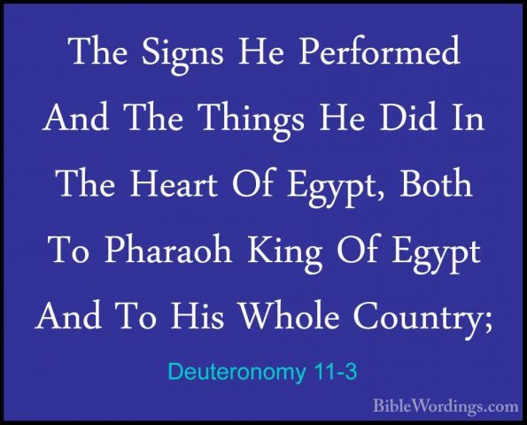 Deuteronomy 11-3 - The Signs He Performed And The Things He Did IThe Signs He Performed And The Things He Did In The Heart Of Egypt, Both To Pharaoh King Of Egypt And To His Whole Country; 