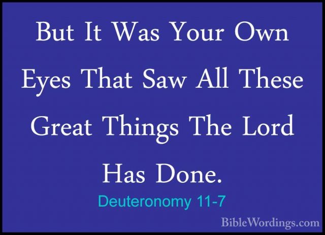 Deuteronomy 11-7 - But It Was Your Own Eyes That Saw All These GrBut It Was Your Own Eyes That Saw All These Great Things The Lord Has Done. 