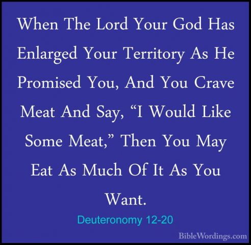 Deuteronomy 12-20 - When The Lord Your God Has Enlarged Your TerrWhen The Lord Your God Has Enlarged Your Territory As He Promised You, And You Crave Meat And Say, "I Would Like Some Meat," Then You May Eat As Much Of It As You Want. 