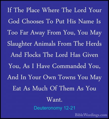 Deuteronomy 12-21 - If The Place Where The Lord Your God ChoosesIf The Place Where The Lord Your God Chooses To Put His Name Is Too Far Away From You, You May Slaughter Animals From The Herds And Flocks The Lord Has Given You, As I Have Commanded You, And In Your Own Towns You May Eat As Much Of Them As You Want. 