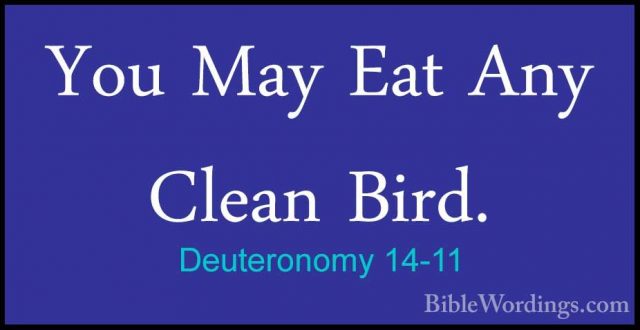 Deuteronomy 14-11 - You May Eat Any Clean Bird.You May Eat Any Clean Bird. 