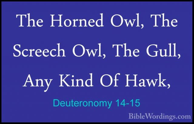 Deuteronomy 14-15 - The Horned Owl, The Screech Owl, The Gull, AnThe Horned Owl, The Screech Owl, The Gull, Any Kind Of Hawk, 