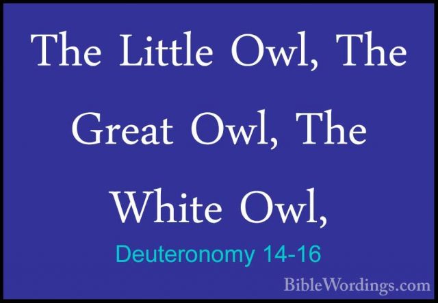 Deuteronomy 14-16 - The Little Owl, The Great Owl, The White Owl,The Little Owl, The Great Owl, The White Owl, 