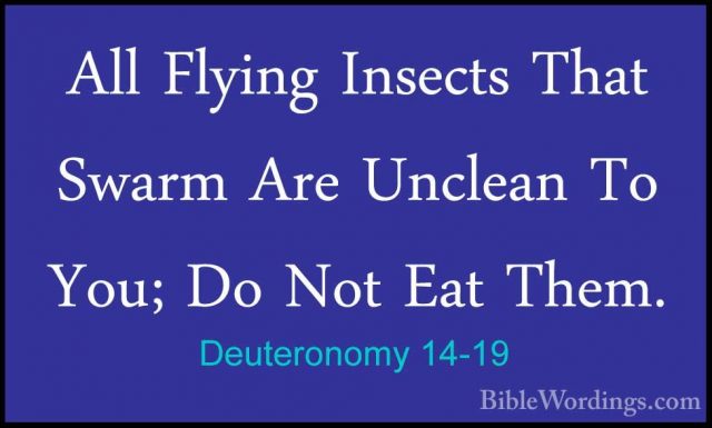 Deuteronomy 14-19 - All Flying Insects That Swarm Are Unclean ToAll Flying Insects That Swarm Are Unclean To You; Do Not Eat Them. 