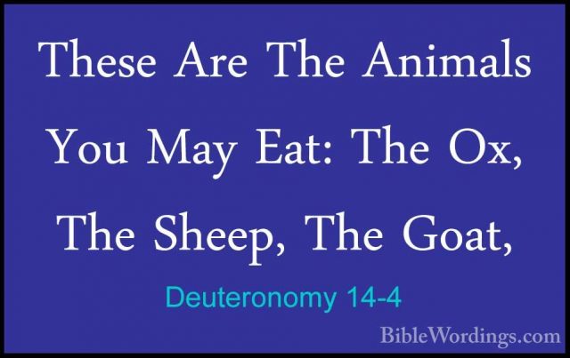 Deuteronomy 14-4 - These Are The Animals You May Eat: The Ox, TheThese Are The Animals You May Eat: The Ox, The Sheep, The Goat, 