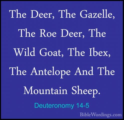 Deuteronomy 14-5 - The Deer, The Gazelle, The Roe Deer, The WildThe Deer, The Gazelle, The Roe Deer, The Wild Goat, The Ibex, The Antelope And The Mountain Sheep. 