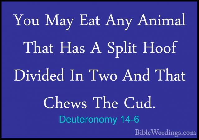 Deuteronomy 14-6 - You May Eat Any Animal That Has A Split Hoof DYou May Eat Any Animal That Has A Split Hoof Divided In Two And That Chews The Cud. 