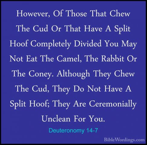 Deuteronomy 14-7 - However, Of Those That Chew The Cud Or That HaHowever, Of Those That Chew The Cud Or That Have A Split Hoof Completely Divided You May Not Eat The Camel, The Rabbit Or The Coney. Although They Chew The Cud, They Do Not Have A Split Hoof; They Are Ceremonially Unclean For You. 