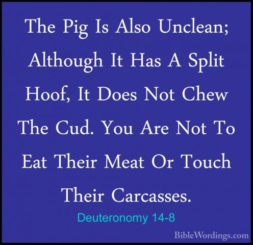 Deuteronomy 14-8 - The Pig Is Also Unclean; Although It Has A SplThe Pig Is Also Unclean; Although It Has A Split Hoof, It Does Not Chew The Cud. You Are Not To Eat Their Meat Or Touch Their Carcasses. 