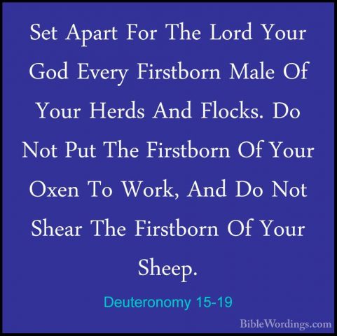 Deuteronomy 15-19 - Set Apart For The Lord Your God Every FirstboSet Apart For The Lord Your God Every Firstborn Male Of Your Herds And Flocks. Do Not Put The Firstborn Of Your Oxen To Work, And Do Not Shear The Firstborn Of Your Sheep. 