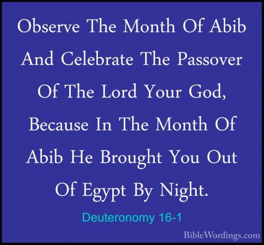 Deuteronomy 16-1 - Observe The Month Of Abib And Celebrate The PaObserve The Month Of Abib And Celebrate The Passover Of The Lord Your God, Because In The Month Of Abib He Brought You Out Of Egypt By Night. 