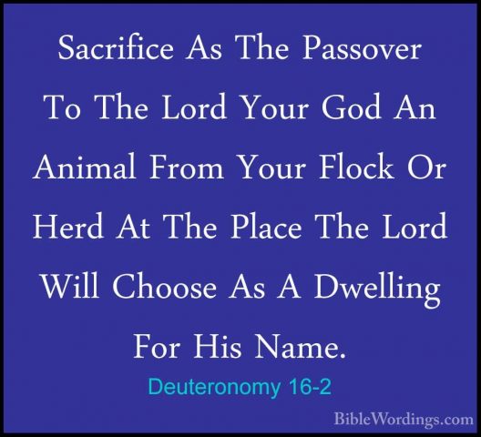 Deuteronomy 16-2 - Sacrifice As The Passover To The Lord Your GodSacrifice As The Passover To The Lord Your God An Animal From Your Flock Or Herd At The Place The Lord Will Choose As A Dwelling For His Name. 
