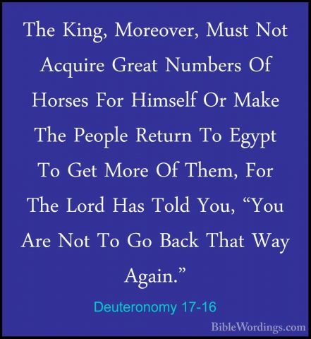 Deuteronomy 17-16 - The King, Moreover, Must Not Acquire Great NuThe King, Moreover, Must Not Acquire Great Numbers Of Horses For Himself Or Make The People Return To Egypt To Get More Of Them, For The Lord Has Told You, "You Are Not To Go Back That Way Again." 