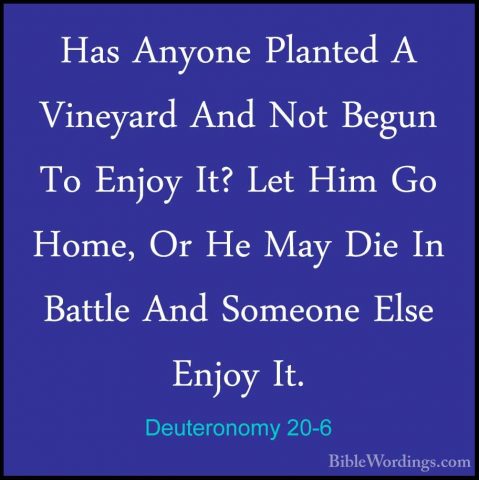 Deuteronomy 20-6 - Has Anyone Planted A Vineyard And Not Begun ToHas Anyone Planted A Vineyard And Not Begun To Enjoy It? Let Him Go Home, Or He May Die In Battle And Someone Else Enjoy It. 