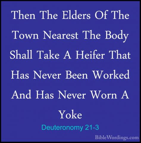 Deuteronomy 21-3 - Then The Elders Of The Town Nearest The Body SThen The Elders Of The Town Nearest The Body Shall Take A Heifer That Has Never Been Worked And Has Never Worn A Yoke 