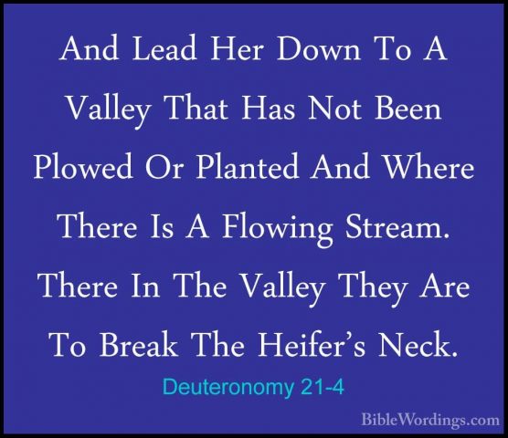 Deuteronomy 21-4 - And Lead Her Down To A Valley That Has Not BeeAnd Lead Her Down To A Valley That Has Not Been Plowed Or Planted And Where There Is A Flowing Stream. There In The Valley They Are To Break The Heifer's Neck. 