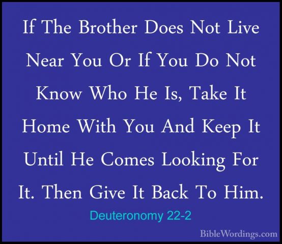 Deuteronomy 22-2 - If The Brother Does Not Live Near You Or If YoIf The Brother Does Not Live Near You Or If You Do Not Know Who He Is, Take It Home With You And Keep It Until He Comes Looking For It. Then Give It Back To Him. 