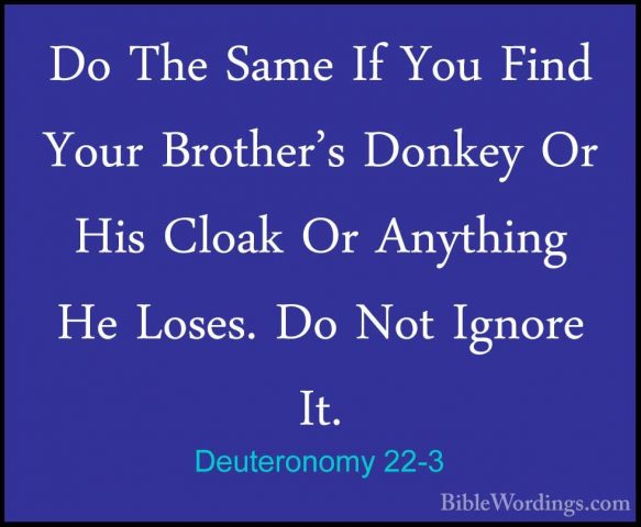 Deuteronomy 22-3 - Do The Same If You Find Your Brother's DonkeyDo The Same If You Find Your Brother's Donkey Or His Cloak Or Anything He Loses. Do Not Ignore It. 