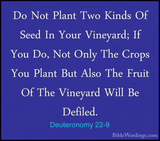 Deuteronomy 22-9 - Do Not Plant Two Kinds Of Seed In Your VineyarDo Not Plant Two Kinds Of Seed In Your Vineyard; If You Do, Not Only The Crops You Plant But Also The Fruit Of The Vineyard Will Be Defiled. 