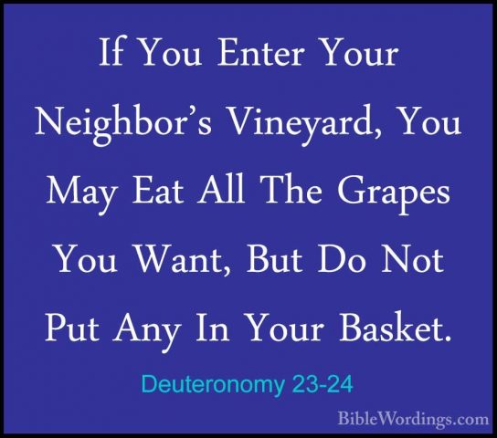 Deuteronomy 23-24 - If You Enter Your Neighbor's Vineyard, You MaIf You Enter Your Neighbor's Vineyard, You May Eat All The Grapes You Want, But Do Not Put Any In Your Basket. 