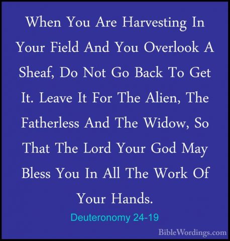 Deuteronomy 24-19 - When You Are Harvesting In Your Field And YouWhen You Are Harvesting In Your Field And You Overlook A Sheaf, Do Not Go Back To Get It. Leave It For The Alien, The Fatherless And The Widow, So That The Lord Your God May Bless You In All The Work Of Your Hands. 