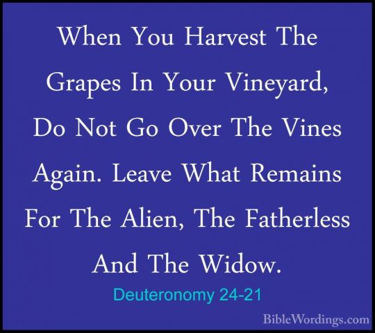 Deuteronomy 24-21 - When You Harvest The Grapes In Your Vineyard,When You Harvest The Grapes In Your Vineyard, Do Not Go Over The Vines Again. Leave What Remains For The Alien, The Fatherless And The Widow. 