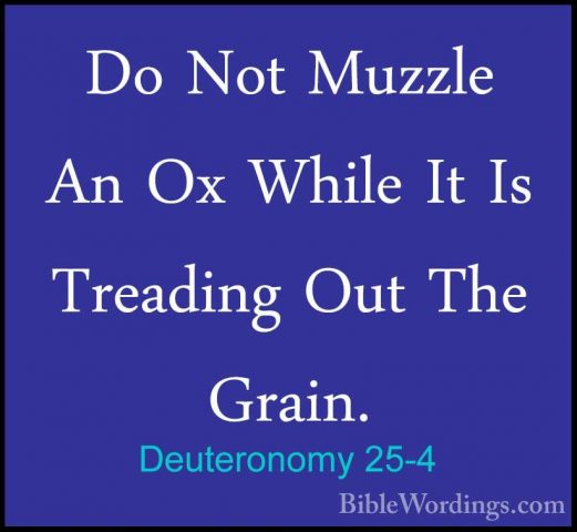 Deuteronomy 25-4 - Do Not Muzzle An Ox While It Is Treading Out TDo Not Muzzle An Ox While It Is Treading Out The Grain. 