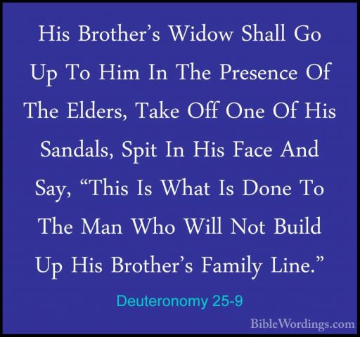 Deuteronomy 25-9 - His Brother's Widow Shall Go Up To Him In TheHis Brother's Widow Shall Go Up To Him In The Presence Of The Elders, Take Off One Of His Sandals, Spit In His Face And Say, "This Is What Is Done To The Man Who Will Not Build Up His Brother's Family Line." 