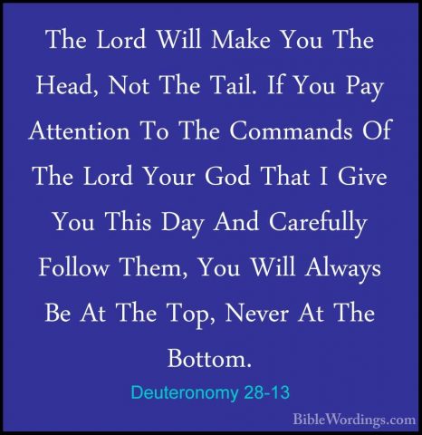 Deuteronomy 28-13 - The Lord Will Make You The Head, Not The TailThe Lord Will Make You The Head, Not The Tail. If You Pay Attention To The Commands Of The Lord Your God That I Give You This Day And Carefully Follow Them, You Will Always Be At The Top, Never At The Bottom. 