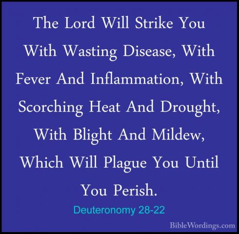 Deuteronomy 28-22 - The Lord Will Strike You With Wasting DiseaseThe Lord Will Strike You With Wasting Disease, With Fever And Inflammation, With Scorching Heat And Drought, With Blight And Mildew, Which Will Plague You Until You Perish. 