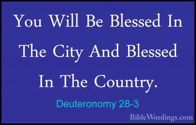 Deuteronomy 28-3 - You Will Be Blessed In The City And Blessed InYou Will Be Blessed In The City And Blessed In The Country. 