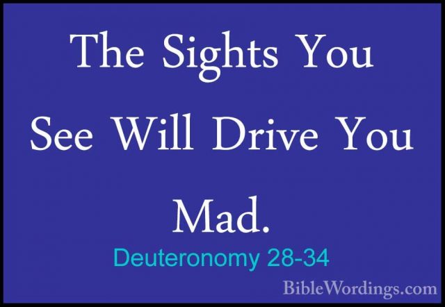 Deuteronomy 28-34 - The Sights You See Will Drive You Mad.The Sights You See Will Drive You Mad. 