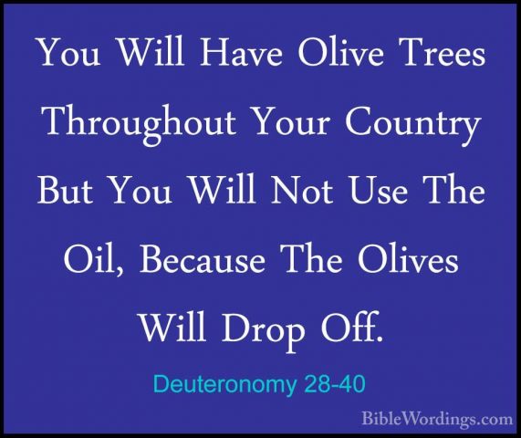 Deuteronomy 28-40 - You Will Have Olive Trees Throughout Your CouYou Will Have Olive Trees Throughout Your Country But You Will Not Use The Oil, Because The Olives Will Drop Off. 