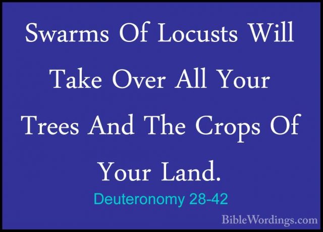 Deuteronomy 28-42 - Swarms Of Locusts Will Take Over All Your TreSwarms Of Locusts Will Take Over All Your Trees And The Crops Of Your Land. 