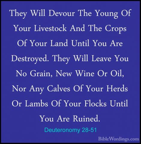 Deuteronomy 28-51 - They Will Devour The Young Of Your LivestockThey Will Devour The Young Of Your Livestock And The Crops Of Your Land Until You Are Destroyed. They Will Leave You No Grain, New Wine Or Oil, Nor Any Calves Of Your Herds Or Lambs Of Your Flocks Until You Are Ruined. 
