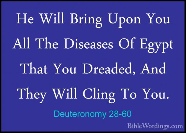 Deuteronomy 28-60 - He Will Bring Upon You All The Diseases Of EgHe Will Bring Upon You All The Diseases Of Egypt That You Dreaded, And They Will Cling To You. 