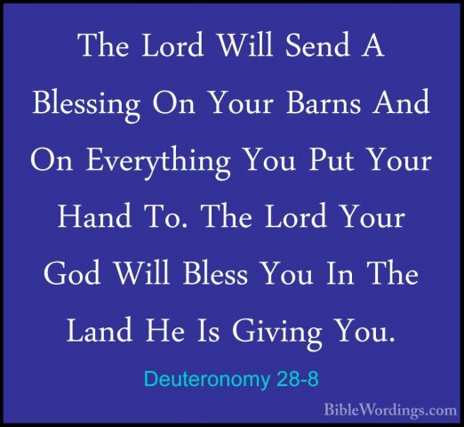 Deuteronomy 28-8 - The Lord Will Send A Blessing On Your Barns AnThe Lord Will Send A Blessing On Your Barns And On Everything You Put Your Hand To. The Lord Your God Will Bless You In The Land He Is Giving You. 