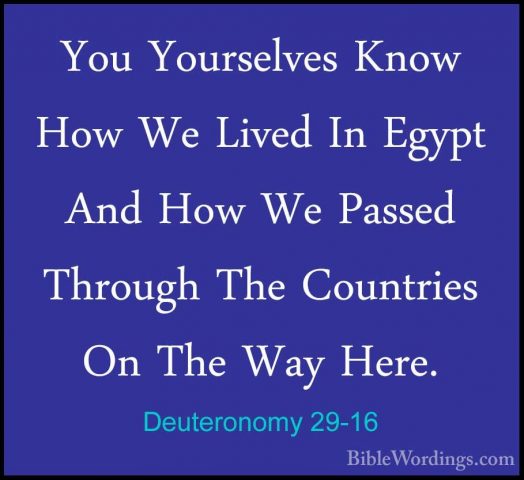 Deuteronomy 29-16 - You Yourselves Know How We Lived In Egypt AndYou Yourselves Know How We Lived In Egypt And How We Passed Through The Countries On The Way Here. 