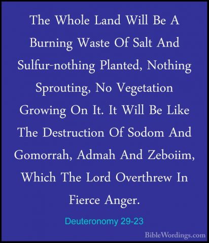 Deuteronomy 29-23 - The Whole Land Will Be A Burning Waste Of SalThe Whole Land Will Be A Burning Waste Of Salt And Sulfur-nothing Planted, Nothing Sprouting, No Vegetation Growing On It. It Will Be Like The Destruction Of Sodom And Gomorrah, Admah And Zeboiim, Which The Lord Overthrew In Fierce Anger. 