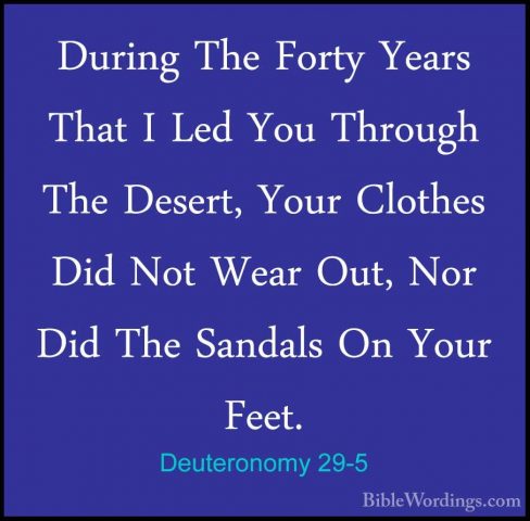 Deuteronomy 29-5 - During The Forty Years That I Led You ThroughDuring The Forty Years That I Led You Through The Desert, Your Clothes Did Not Wear Out, Nor Did The Sandals On Your Feet. 