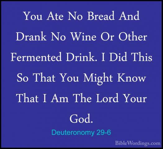 Deuteronomy 29-6 - You Ate No Bread And Drank No Wine Or Other FeYou Ate No Bread And Drank No Wine Or Other Fermented Drink. I Did This So That You Might Know That I Am The Lord Your God. 